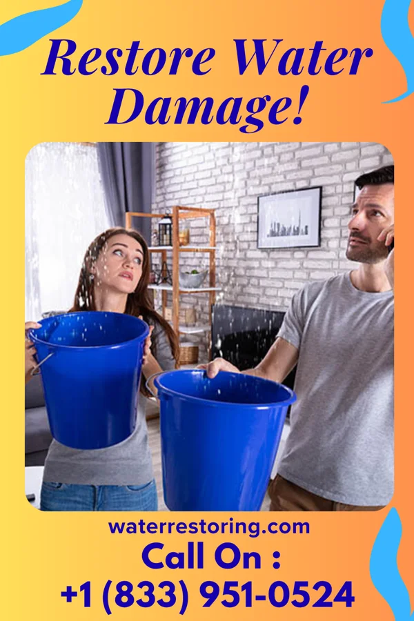 water restoration Premier Recovery Pros Hillcrest