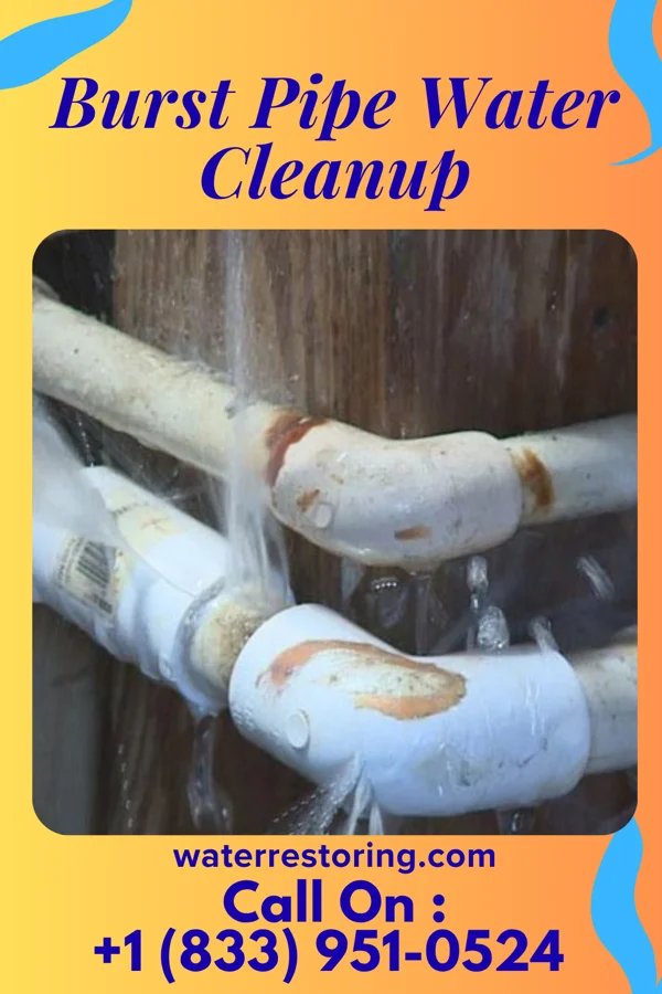 Burst Pipe Water Cleanup in Hillcrest, NY