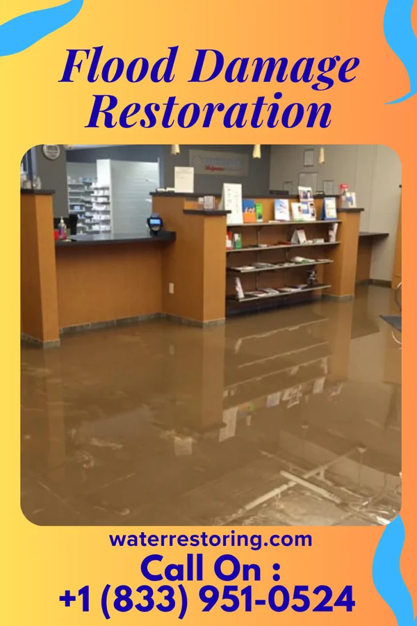 Flood Damage Restoration in Hillcrest, NY