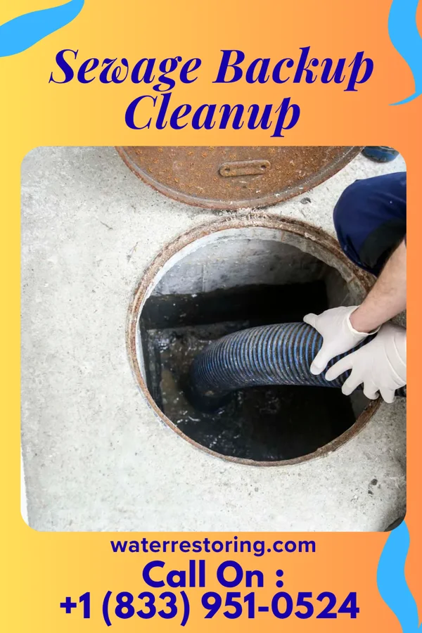 Sewage Backup Cleanup in Hillcrest, NY