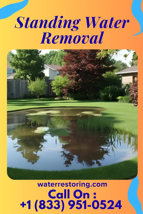 Standing Water Removal in Hillcrest, NY